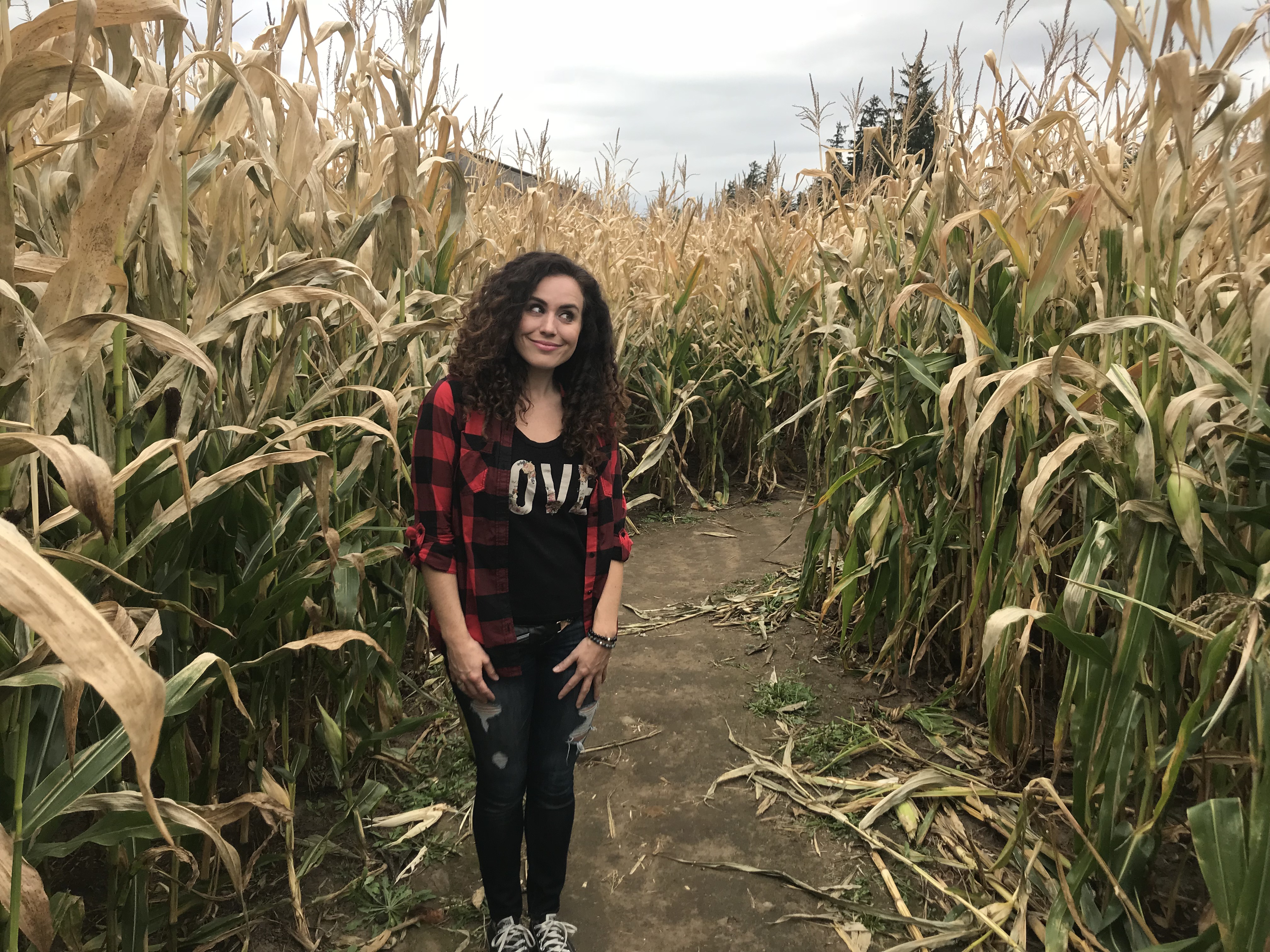 Lost in a corn maze