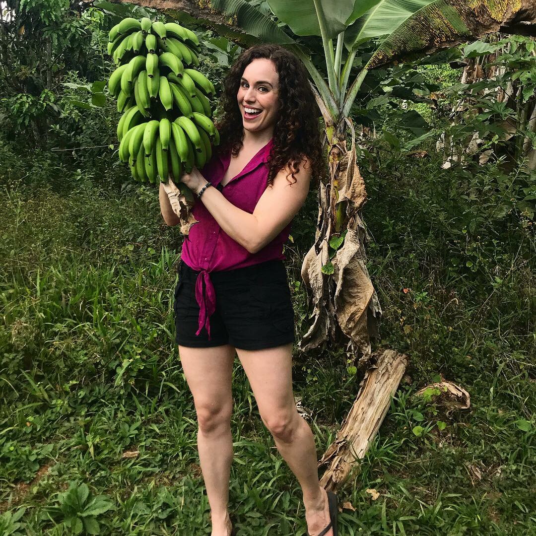 Jungle Life in Costa Rica