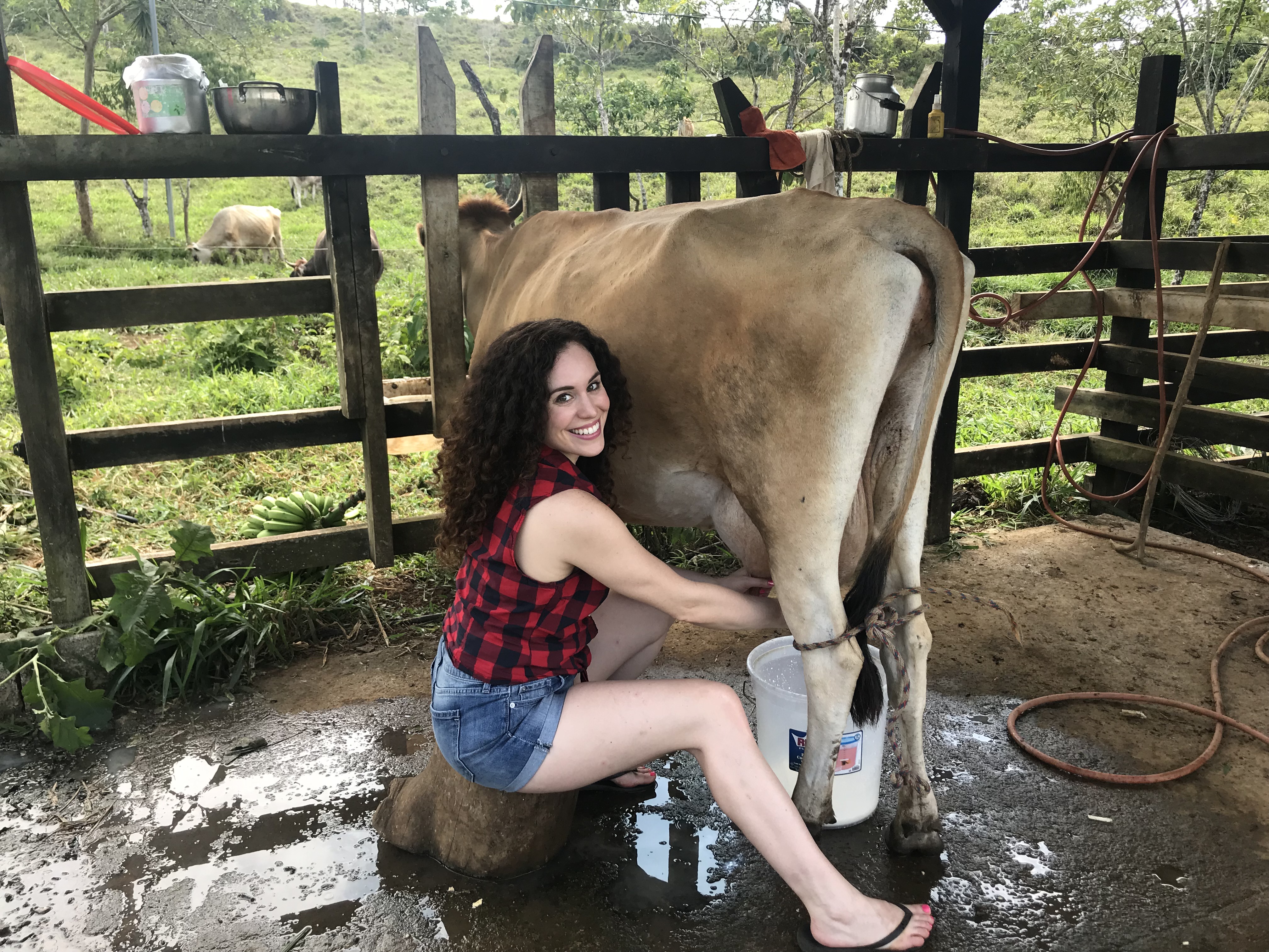 What I Learned Milking a Cow